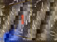 大人の遊園痴「スピーディー」　りつ（敏感で癒し系）