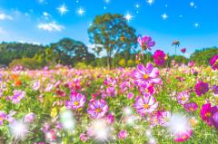 ご主人様いらっしゃい 大分店　キキ♡感度良好♡