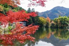 一夜の愛人　もか