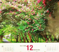 高級女性用風俗・性感エステLOVE愛撫(らぶあいぶ)　♂流星☆RYUSEI