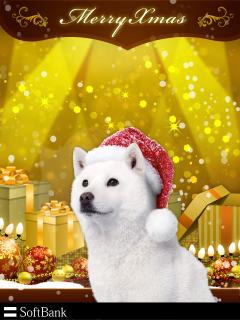 保険屋のおばちゃん(デリヘル) まり