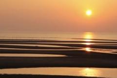 人妻24時　しずく