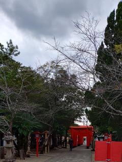 高級女性用風俗・性感エステLOVE愛撫(らぶあいぶ)　♂春馬☆HARUMA