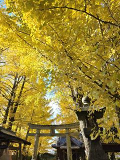 ベビードール　さとみ