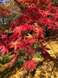 待ちナビ(福岡市) るい