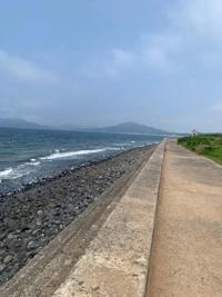 待ちナビ　らいあ