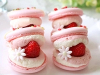 待ちナビ(福岡市) いろは