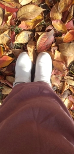 待ちナビ　みよ