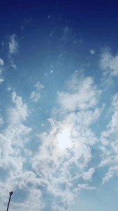 鹿児島ちゃんこ 霧島店　しずか