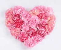 待ちナビ こゆき お礼です