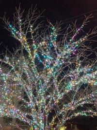 マドンナSANSAIN　はるな