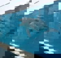 harmonyハーモニー かおるこ(kaoruko)