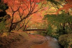 一夜の愛人　もか