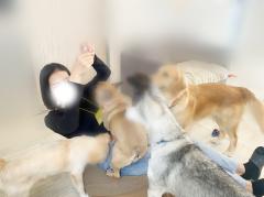 Relaxation spa with (リラクゼーションスパウィズ)(うるま市) すみれ～Sumire～