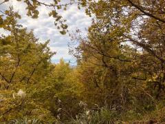 シングルママ　るみ☆小柄スレンダー