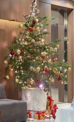 人妻ステーションポータブル　しい