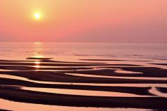 人妻24時　しずく