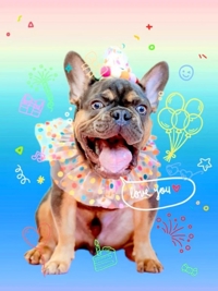 EXE【宮崎店】　みれい