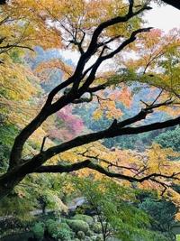 待ちナビ しょう 12/2、午前中お会いしたお客様へ