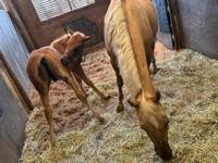 待ちナビ しょう 12/2、午後からお会いしたお客様へ