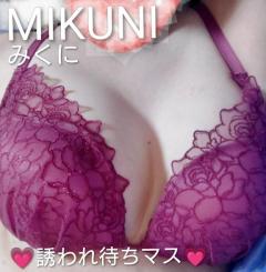 人妻ステーションポータブル　みくに