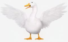 CLUB LUMINE(中津市) Haru【ハル】