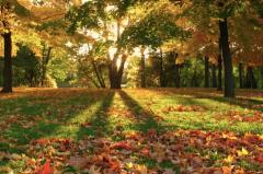 一夜の愛人　もか