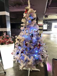 ご主人様いらっしゃい 大分店 神舌ゆい♡最強エロ女（痩せてきた）