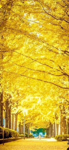 人妻ステーションポータブル　なつこ