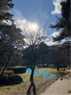 MANIN-ONREIマン淫御礼 桃香（ももか）色白美人で癒し系 気持ちいい?