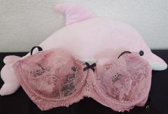 鹿児島ちゃんこ 天文館店 ともえ 一緒に