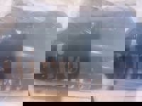 大人の遊園痴「スピーディー」　ゆう（美脚でスレンダー）