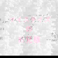 宮崎ちゃんこ中央通店　ぼたん