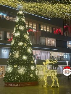 Roots(ルーツ)　かおる