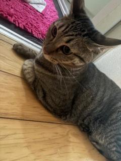 La Rouge　麗【れい】