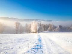 Spica(すぴか)　★かおる★電撃移籍入店決定！