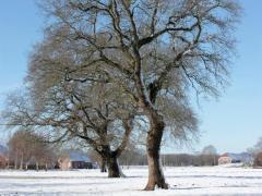 Spica(すぴか)　★かおる★電撃移籍入店決定！