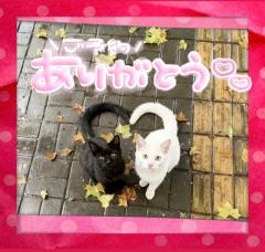 MANIN-ONREIマン淫御礼(大分市) ニ奈（にいな）淫獣ドM