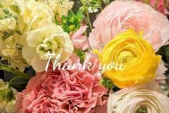 鹿児島ちゃんこ薩摩川内店　