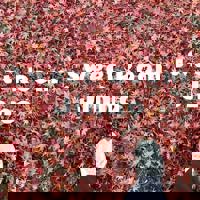 スウィートルーム 宮崎市メンズエステ(非風俗) じんの 写メ日記「駆け足」