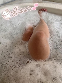 宮崎ちゃんこ都城店　こはる