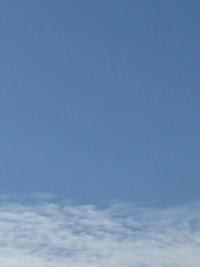 待ちナビ ひろか 土曜日*°