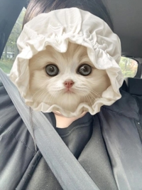 鹿児島ちゃんこ 霧島店 ちあき ぽかぽか