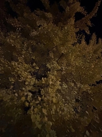 天空のマット熊本店　