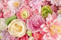 待ちナビ　れあ