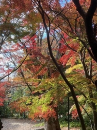 待ちナビ　れみか