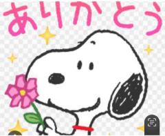 ?パルアネックス205のお兄さん?