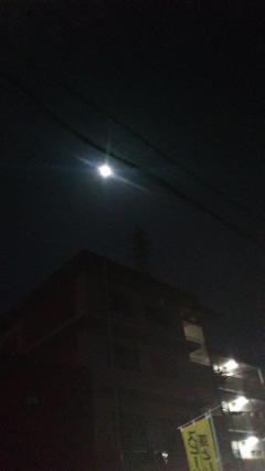 保険屋のおばちゃん　まり