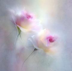 MANIN-ONREIマン淫御礼　真白（ましろ）Mでエロくて責められ好き♡