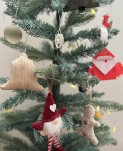 鹿児島ちゃんこ薩摩川内店　きなこ